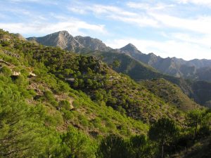entorno y rutas de turismo activo en almeria